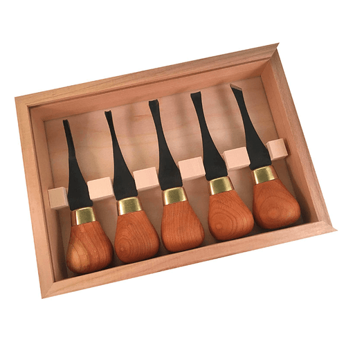 PREMIUM BEGINNERS PALM SET +