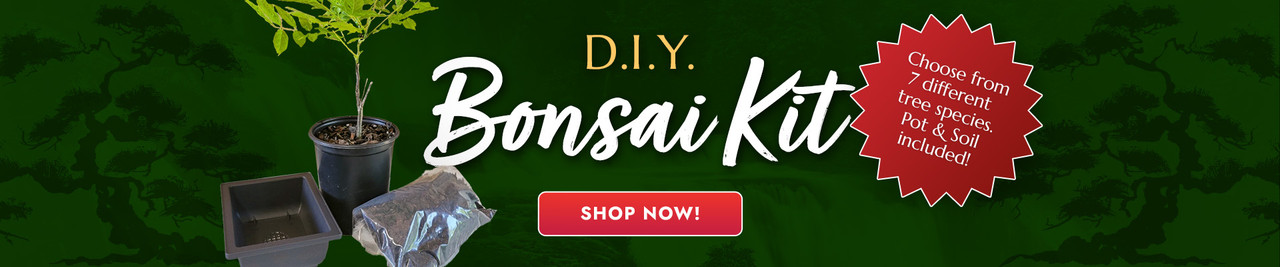 "DIY bonsai kit" text next to bonsai tree with a pot and bag of dirt