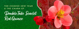 The Chinese New Year and the Charm of Double Take Scarlet Red Quince