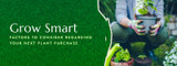 Factors to Consider Regarding Your Next Plant Purchase