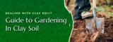 Guide to Gardening in Clay Soil