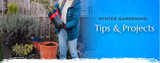 Winter Gardening: Tips & Projects