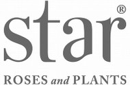 Star Roses and Plants