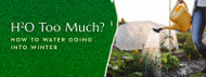 H2O Too Much? How To Water Your Plants Going Into Winter