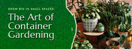 Grow Big in Small Spaces: The Art of  Container Gardening