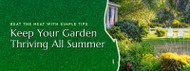 Keep Your Garden Thriving All Summer