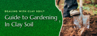 Guide to Gardening in Clay Soil