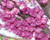 Pink Pom Poms Eastern Redbud Tree | Cercis candadensis 'Pink Pom Poms' | 5 Gallon Plant | Free Ground Shipping