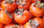 Diospyros Kaki 'Hachiya': Experience the stunning beauty and delightful flavor of this exceptional persimmon variety. Discover the unique features of Matsumoto, including its distinct characteristics, ideal growing conditions, and step-by-step instructions for cultivating your own bountiful harvest. Discover the fascinating history and culinary versatility of this exceptional fruit with Google. Uncover its rich past and explore the various ways it can be used in cooking and recipes. Discover Diospyros Kaki 'Matsumoto' - an exquisite combination of aesthetic appeal and delightful taste, enhancing your orchard to new heights.