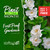 Frost Proof Gardenia | Gardenia jasminoides 'Frost proof'