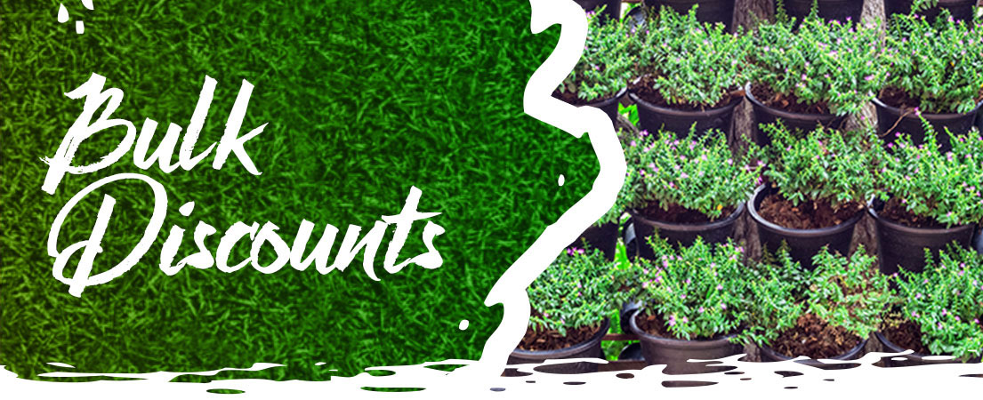 Bulk Plant Discounts