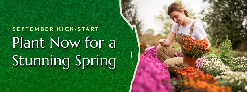 September Kick-Start: Plant Now for a Stunning Spring