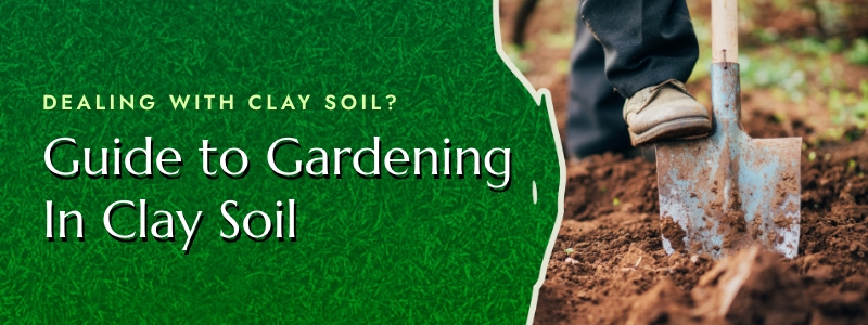 Guide to Gardening in Clay Soil