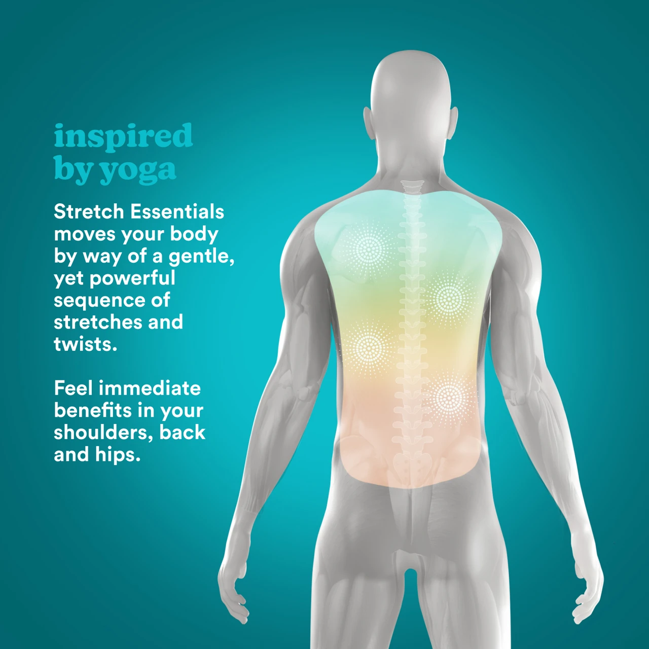 Stretch Essentials | HoMedics