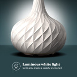 Ellia harmony ultrasonic cordless diffuser