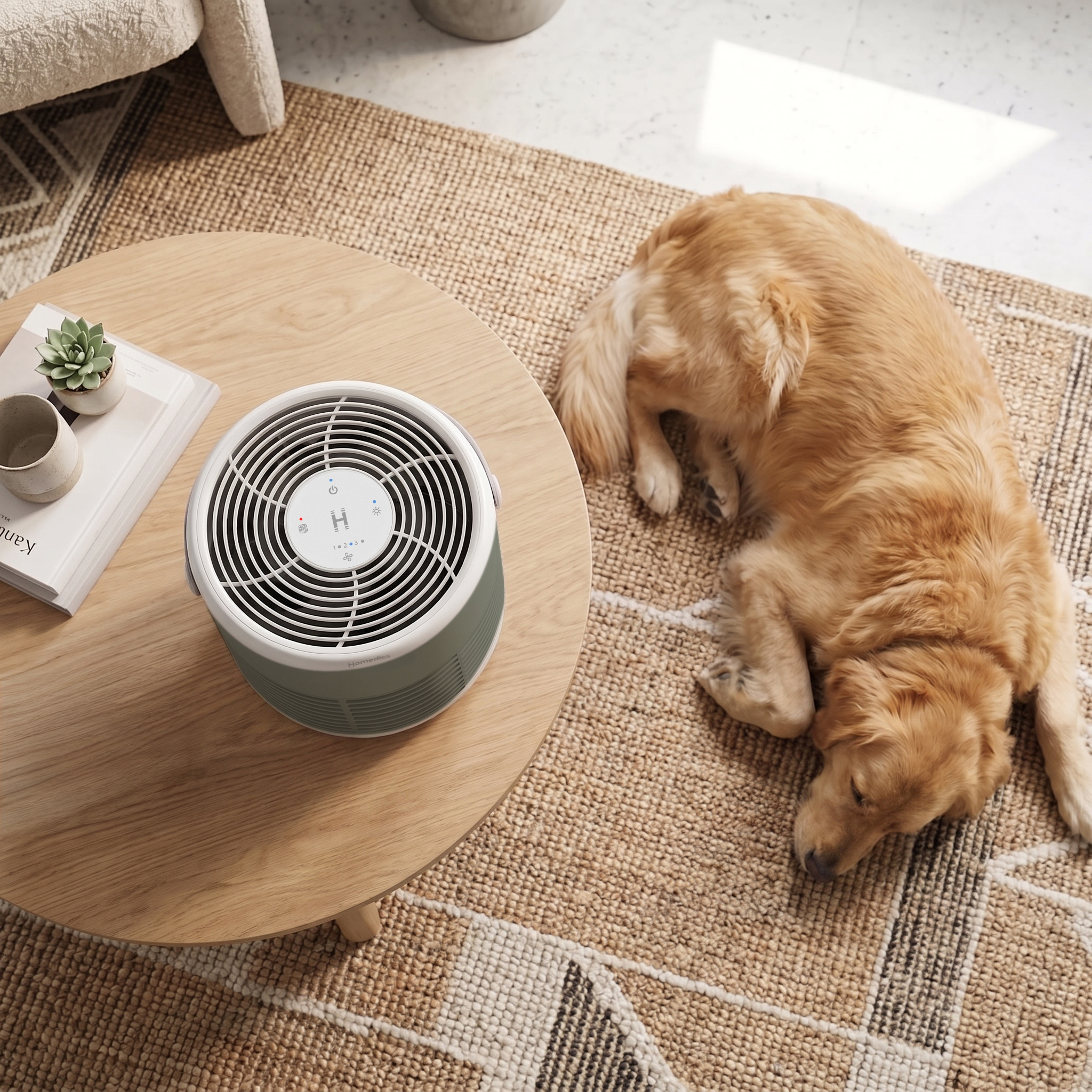 Pet odours