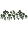 Woodland Scenics Deciduous Tree Kit 3/4 -3 21 WOOTR1111