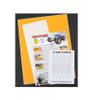 XXX Main Flame Stripes Paint Mask XXXM040L