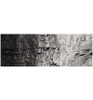 Woodland Scenics Woodland Scenics Earth Color Black 4oz WOOC1220
