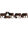 Woodland Scenics N Black Angus Cows WOOA2217
