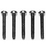 Tamiya RC 3x20mm Titanium Tap Screw - (5 pieces.) TAM53240