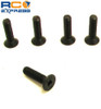 Hot Racing M2.5x10mm FHCS Flat Head Cap Screws SS25F10