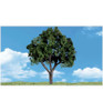 Woodland Scenics Classics Tree Cool Shade 5-6 2 WOOTR3514