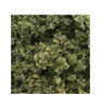 Woodland Scenics Fine Leaf Foliage Light Green/75 cu. in. WOOF1132
