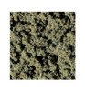 Woodland Scenics Clump-Foliage Bag Burnt Grass/165 cu. in. WOOFC181