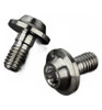 R1Wurks Titanium Flanged Screws M3x6mm Button Head 2 pieces R1W900191-6