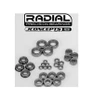 JConcepts NB48 2.2 EB48 2.2 ET48 2.2 NT48 2.2 Radial NMB Bearing Set 2 JCO5339
