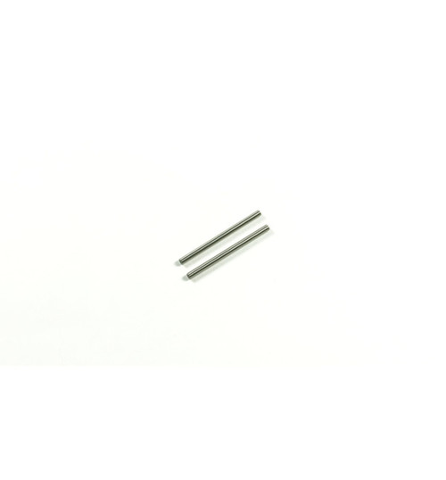 SWORKz Rear Lower Arm Hinge Pin (2) SW330525
