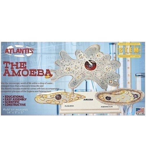 Atlantis Models Amoeba Single Cell Model Kit STEM Plastic Model Kit AANL3800