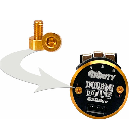 Trinity Aluminum Timing Screws Non-Magnetic (2) (Gold)-TEP2115 TEP2115