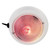 1263DP1WHT - Perko Dome Light w/Red & White Bulbs