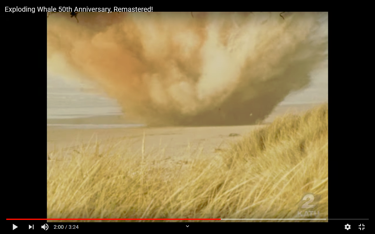 The Exploding Whale