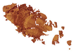 Gold Lamé