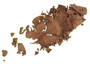Hazelnut