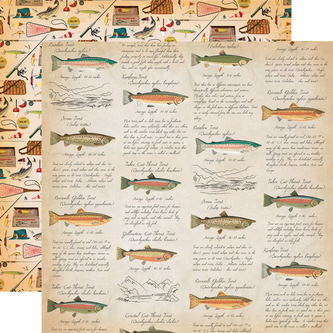 Gone Camping: Fish Facts 12x12 Patterned Paper