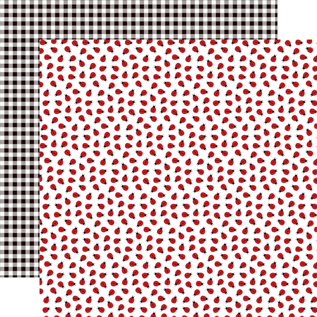 Little Ladybug: Little Ladybug 12x12 Patterned Paper