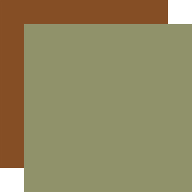 Special Delivery Baby: Lt. Green / Brown 12x12 Coordinating Solid Paper