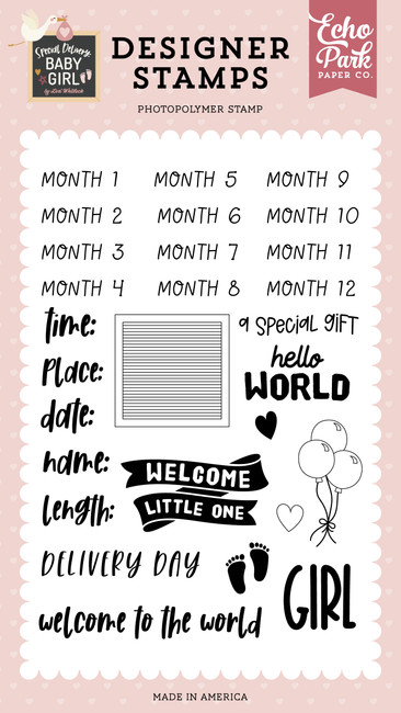 Special Delivery Baby Girl: Baby Girl Stats Stamp Set
