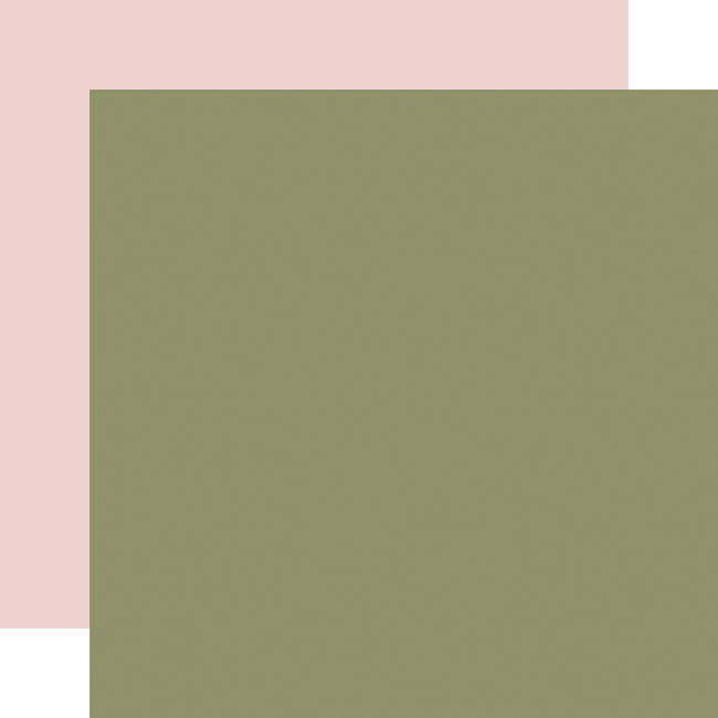 Special Delivery Baby Girl: Green / Lt. Pink 12x12 Coordinating Solid Paper