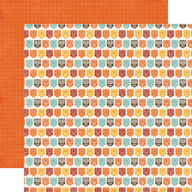 A Perfect Autumn: Owl Friends 12x12 Patterned Paper