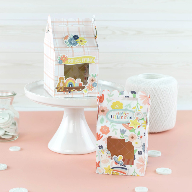 Baby On Board Girl Boxes Digital Instructions