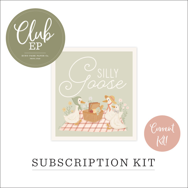 Silly Goose Project Kit