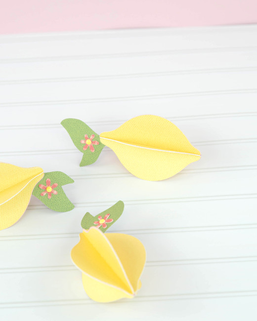 Lemonade 3D Lemons Digital Instructions