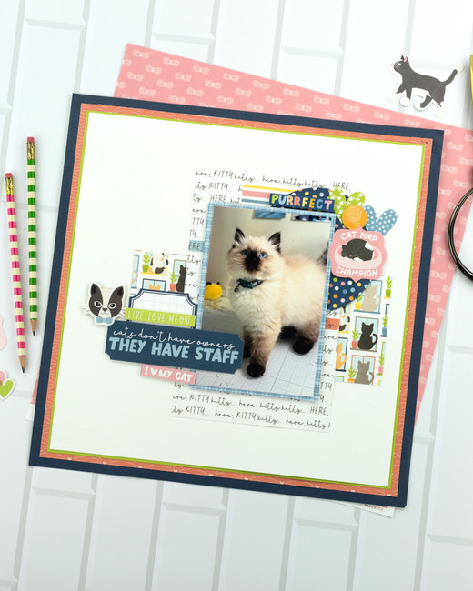 Cat Lover Layout Digital Instructions