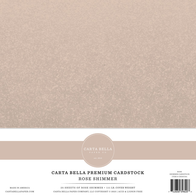 Carta Bella Shimmer Cardstock - Pewter - 92lb. Cover – Cheap