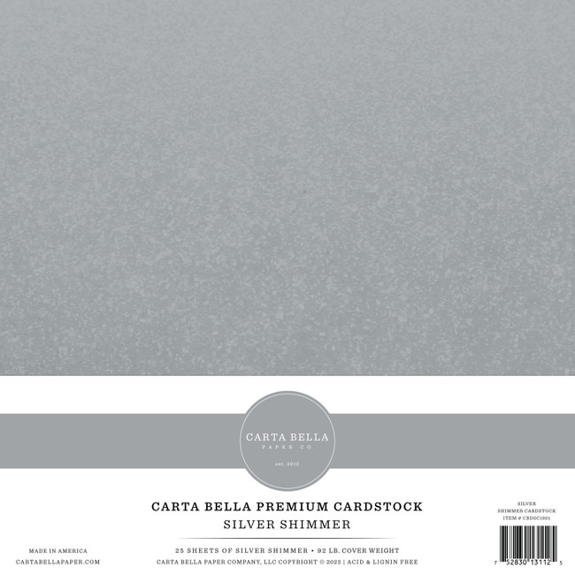 ★Hieta★ Bella card Silver Light Silver Shimmer Cardstock - Echo Park Paper Co